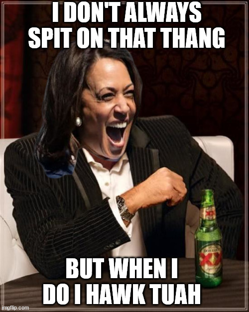 Kamala had skills to get where she is today | I DON'T ALWAYS SPIT ON THAT THANG; BUT WHEN I DO I HAWK TUAH | image tagged in memes,kamala,world class,hawk tuah,experience | made w/ Imgflip meme maker
