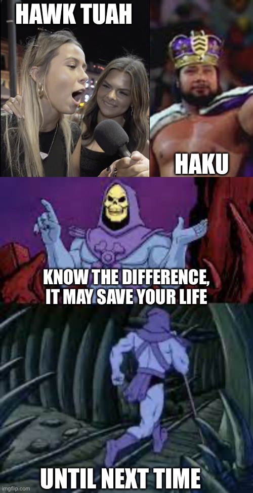 Haku Tuah | HAWK TUAH; HAKU; KNOW THE DIFFERENCE, IT MAY SAVE YOUR LIFE; UNTIL NEXT TIME | image tagged in hawk tuah girl,king haku,skeletor until next time | made w/ Imgflip meme maker