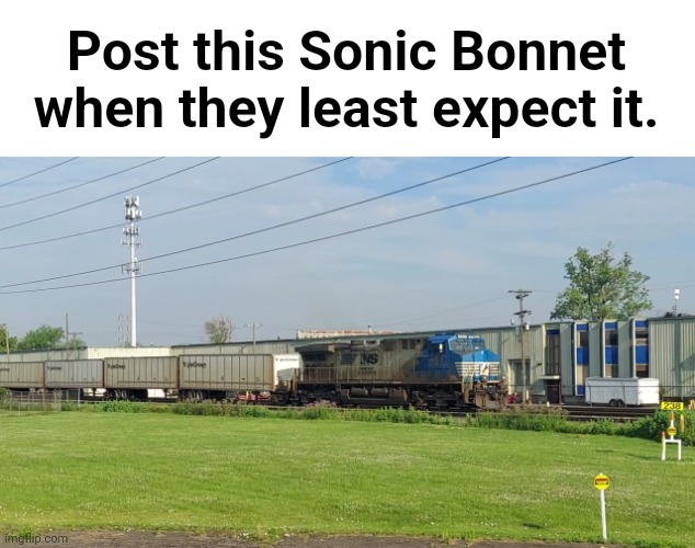 When they least expect it... | Post this Sonic Bonnet when they least expect it. | image tagged in ns 256 being pulled by sonic bonnet 4001,train,railroad,railfan,foamer,norfolk southern | made w/ Imgflip meme maker