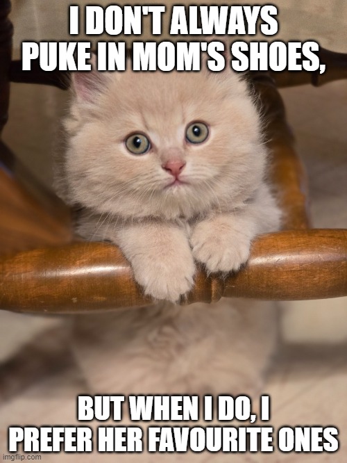 Bugsy | I DON'T ALWAYS PUKE IN MOM'S SHOES, BUT WHEN I DO, I PREFER HER FAVOURITE ONES | image tagged in cute kittens | made w/ Imgflip meme maker
