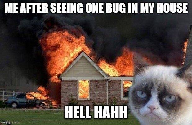 Burn Kitty | ME AFTER SEEING ONE BUG IN MY HOUSE; HELL HAHH | image tagged in memes,burn kitty,grumpy cat | made w/ Imgflip meme maker