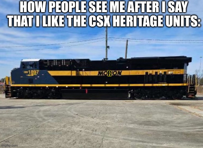 They’re not perfect, but they are interesting | HOW PEOPLE SEE ME AFTER I SAY THAT I LIKE THE CSX HERITAGE UNITS:; R | image tagged in csx,railfan,foamer,train,trains,railroad | made w/ Imgflip meme maker