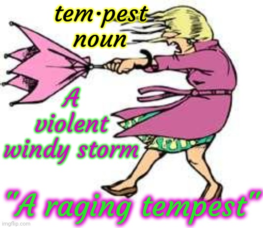 Raging Tempest | tem·pest
noun; A violent windy storm; "A raging tempest" | image tagged in windy day,raging tempest,windy,memes,weather,tempest | made w/ Imgflip meme maker