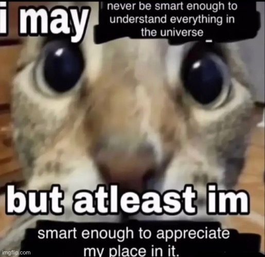uh do u want me to stop idk if im bothering yall | made w/ Imgflip meme maker