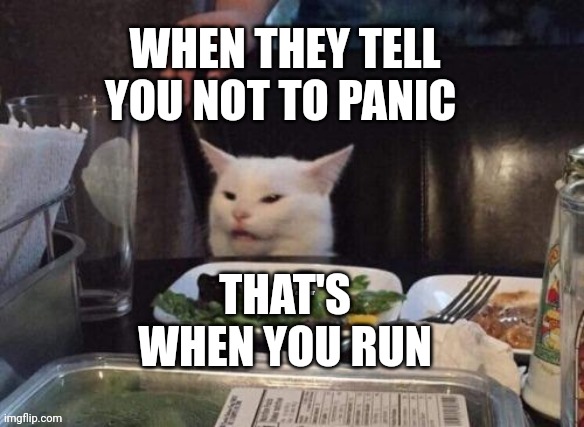 Smudge that darn cat | WHEN THEY TELL YOU NOT TO PANIC; THAT'S WHEN YOU RUN | image tagged in smudge that darn cat | made w/ Imgflip meme maker