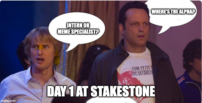 Internship Meme | WHERE'S THE ALPHA? INTERN OR MEME SPECIALIST? DAY 1 AT STAKESTONE | image tagged in internship meme | made w/ Imgflip meme maker