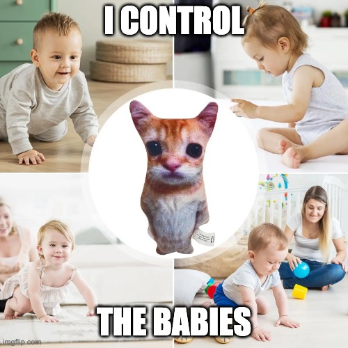 I control the babies | I CONTROL; THE BABIES | image tagged in mindcontrolcat | made w/ Imgflip meme maker