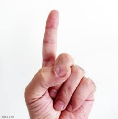 fingerr | image tagged in finger | made w/ Imgflip meme maker