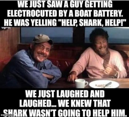 Jump the shark stunt | image tagged in fish story,jaws,chum,maga meat,chicken of the sea,maga bait | made w/ Imgflip meme maker
