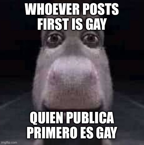 English or Spanish | WHOEVER POSTS FIRST IS GAY; QUIEN PUBLICA PRIMERO ES GAY | image tagged in donkey staring,english,spanish | made w/ Imgflip meme maker