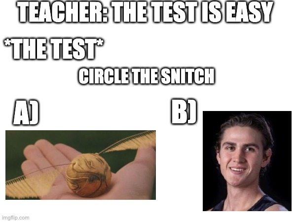 You know, you know... | TEACHER: THE TEST IS EASY; *THE TEST*; CIRCLE THE SNITCH; B); A) | made w/ Imgflip meme maker