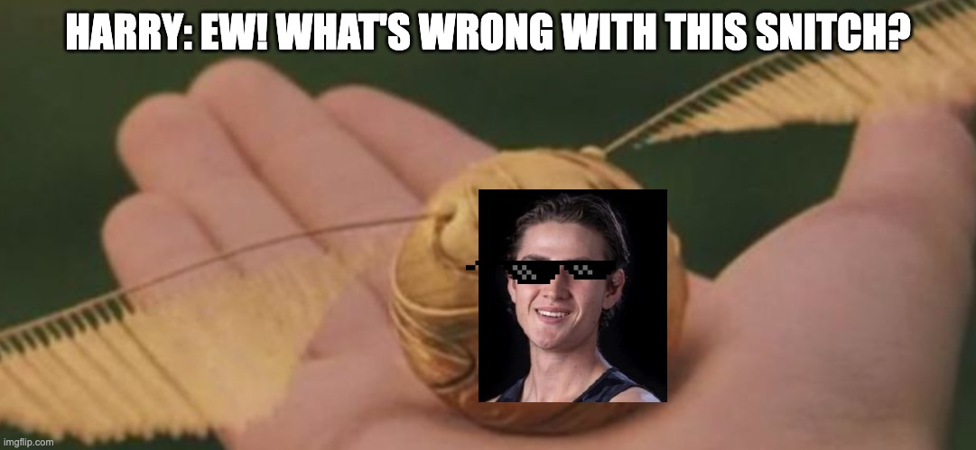 Me: Everything | HARRY: EW! WHAT'S WRONG WITH THIS SNITCH? | made w/ Imgflip meme maker
