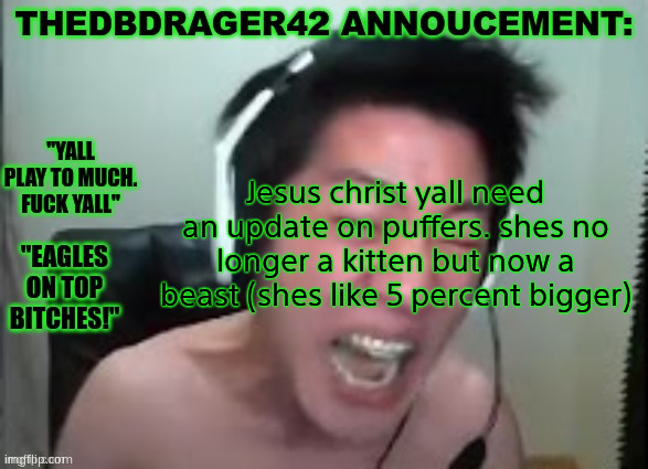 thedbdrager42s annoucement template | Jesus christ yall need an update on puffers. shes no longer a kitten but now a beast (shes like 5 percent bigger) | image tagged in thedbdrager42s annoucement template | made w/ Imgflip meme maker