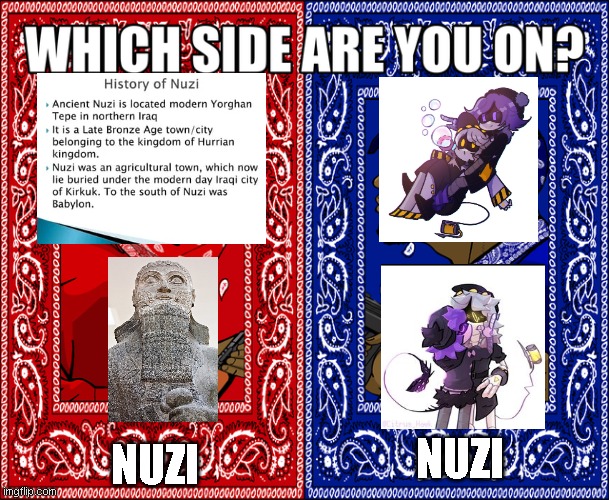 2 sides of the same coin | NUZI; NUZI | image tagged in which side are you on | made w/ Imgflip meme maker