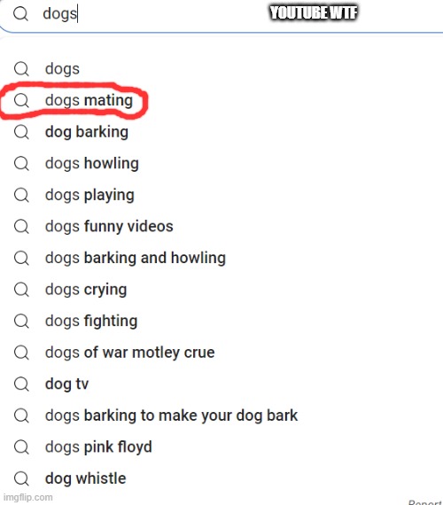 how tf did dogs mating be the second option | YOUTUBE WTF | image tagged in dogs | made w/ Imgflip meme maker