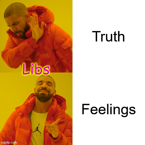 Drake Hotline Bling Meme | Truth Feelings Libs | image tagged in memes,drake hotline bling | made w/ Imgflip meme maker