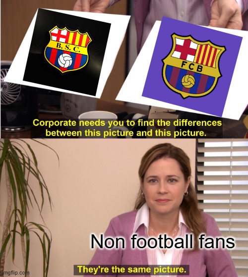 They're The Same Picture | Non football fans | image tagged in memes,they're the same picture | made w/ Imgflip meme maker