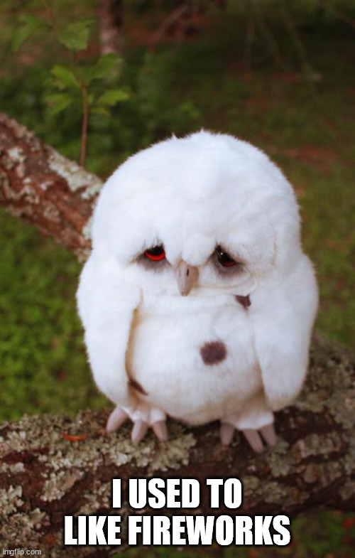 sad owl | I USED TO LIKE FIREWORKS | image tagged in sad owl | made w/ Imgflip meme maker