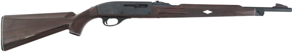 Remington Nylon 66 Blank Meme Template