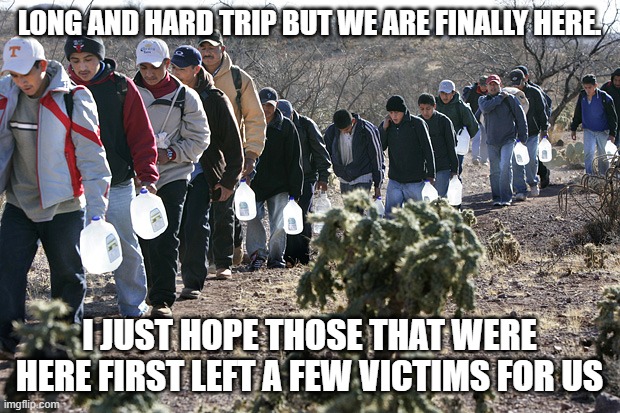 Illegal problems | LONG AND HARD TRIP BUT WE ARE FINALLY HERE. I JUST HOPE THOSE THAT WERE HERE FIRST LEFT A FEW VICTIMS FOR US | image tagged in illegal immigrants crossing border,illegal problems,save some for us,democrat war on america,invasion usa,llevatelo todo | made w/ Imgflip meme maker