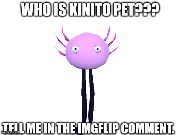 Blank White Template | WHO IS KINITO PET??? TELL ME IN THE IMGFLIP COMMENT. | image tagged in blank white template | made w/ Imgflip meme maker