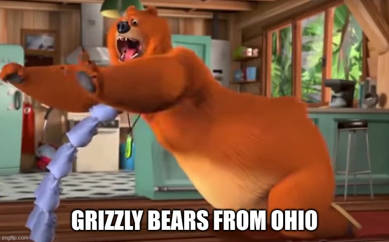 e | GRIZZLY BEARS FROM OHIO | image tagged in bears | made w/ Imgflip meme maker