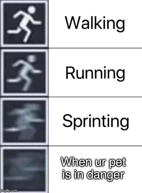 Walking, Running, Sprinting | When ur pet is in danger | image tagged in walking running sprinting | made w/ Imgflip meme maker