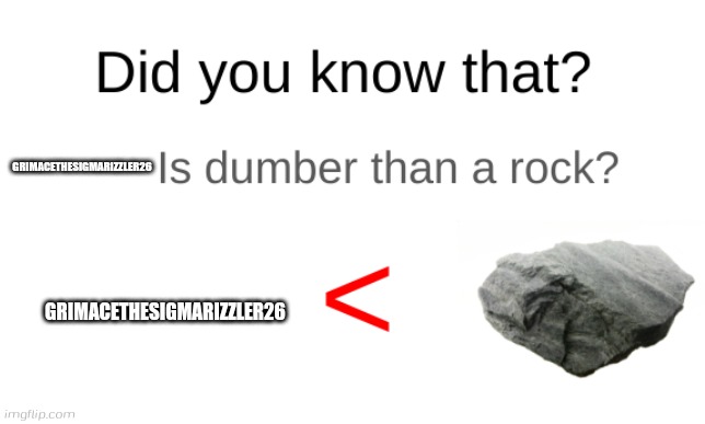Did you know that GrimaceTheSigmaRizzler26 is dumber than a rock | GRIMACETHESIGMARIZZLER26; GRIMACETHESIGMARIZZLER26 | image tagged in did you know that blank is dumber than a rock | made w/ Imgflip meme maker