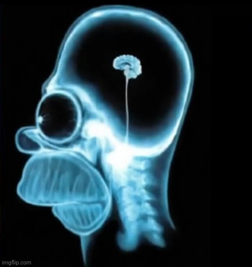 Every kid brain | image tagged in every kid brain | made w/ Imgflip meme maker