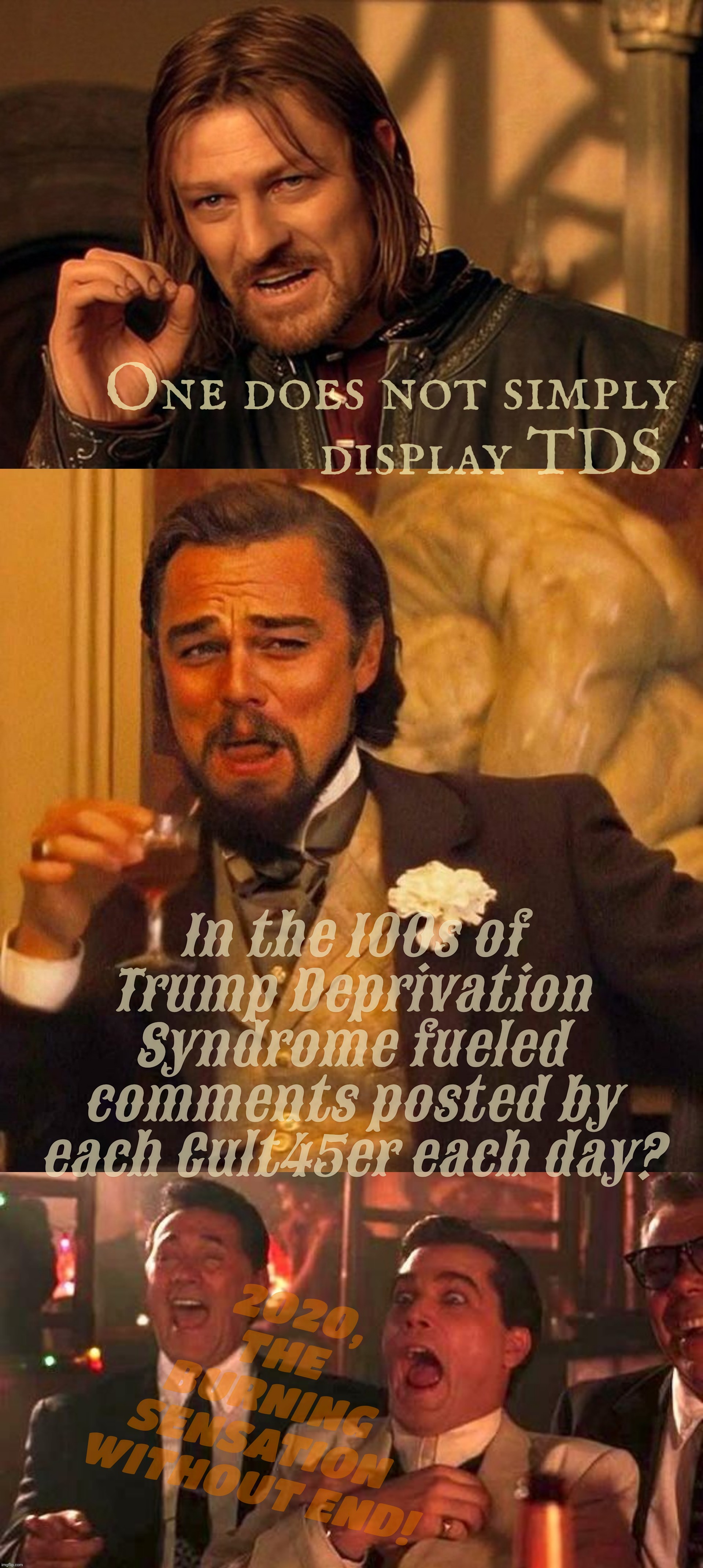 Trump Deprivation Syndrome. Because withdrawal is hard for the Trailer Park set. | One does not simply
              display TDS In the 100s of
Trump Deprivation Syndrome fueled comments posted by each Cult45er each day? 20 | image tagged in trump deprivation syndrome,tds,the burning sensation is real,buttocks,sore,withdrawal symptoms | made w/ Imgflip meme maker