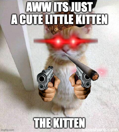 Cute Cat Meme | AWW ITS JUST A CUTE LITTLE KITTEN; THE KITTEN | image tagged in memes,cute cat | made w/ Imgflip meme maker