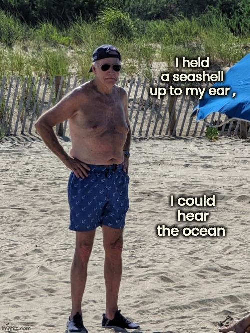 Joe on the Beach | I held a seashell up to my ear , I could hear the ocean | image tagged in joe biden beach,vacation,again,the ocean is thirsty,dumbass,of course | made w/ Imgflip meme maker