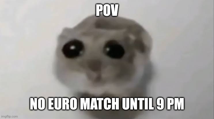 Sad Hamster | POV; NO EURO MATCH UNTIL 9 PM | image tagged in sad hamster,euro 2024,futbol,noooooooooooooooooooooooo | made w/ Imgflip meme maker