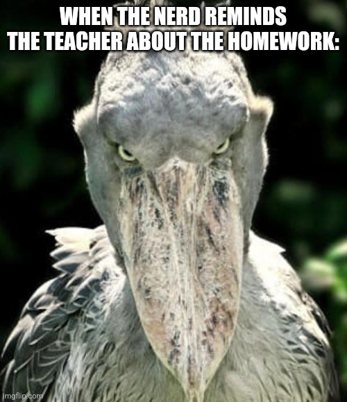 :3 | WHEN THE NERD REMINDS THE TEACHER ABOUT THE HOMEWORK: | image tagged in 3 | made w/ Imgflip meme maker