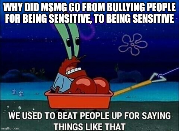 Mr. Krabs We used to beat people up for saying things like that | WHY DID MSMG GO FROM BULLYING PEOPLE FOR BEING SENSITIVE, TO BEING SENSITIVE | image tagged in mr krabs we used to beat people up for saying things like that | made w/ Imgflip meme maker