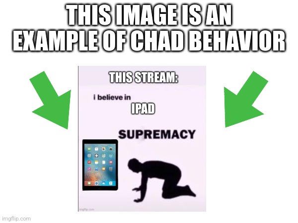 image tagged in this image is an example of chad behavior | made w/ Imgflip meme maker