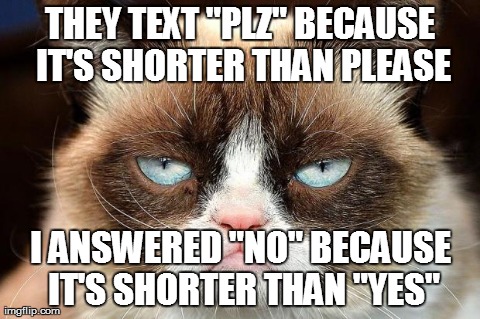 I answered no | THEY TEXT "PLZ" BECAUSE IT'S SHORTER THAN PLEASE I ANSWERED "NO" BECAUSE IT'S SHORTER THAN "YES" | image tagged in grumpy cat,memes,cats | made w/ Imgflip meme maker