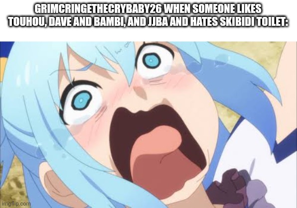 Aqua crying/screaming | GRIMCRINGETHECRYBABY26 WHEN SOMEONE LIKES TOUHOU, DAVE AND BAMBI, AND JJBA AND HATES SKIBIDI TOILET: | image tagged in aqua crying/screaming | made w/ Imgflip meme maker