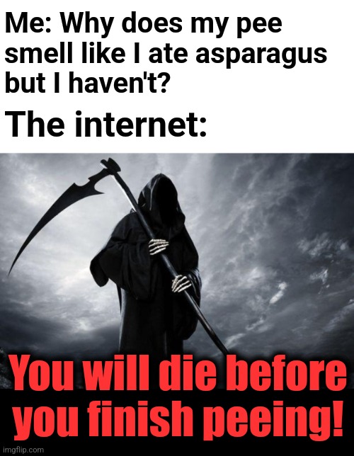 Me: Why does my pee
smell like I ate asparagus
but I haven't? The internet:; You will die before
you finish peeing! | image tagged in death,pee,asparagus,internet,medical advice,i guess ill die | made w/ Imgflip meme maker