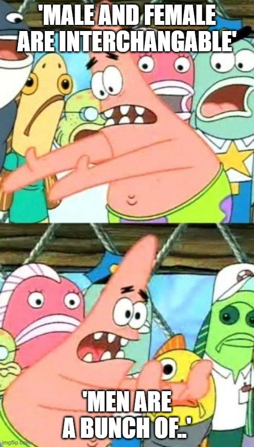 Put It Somewhere Else Patrick | 'MALE AND FEMALE ARE INTERCHANGABLE'; 'MEN ARE A BUNCH OF..' | image tagged in memes,put it somewhere else patrick | made w/ Imgflip meme maker