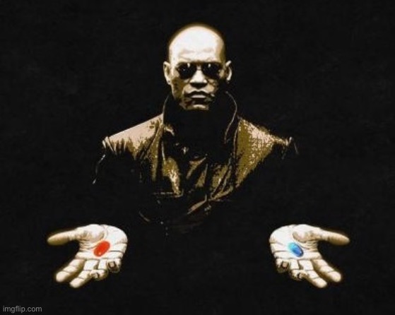 Choices | image tagged in choices | made w/ Imgflip meme maker