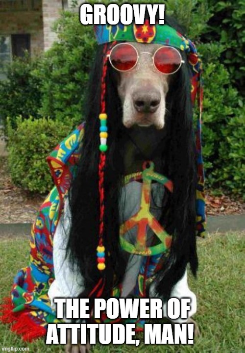 Hippie dog  | GROOVY! THE POWER OF ATTITUDE, MAN! | image tagged in hippie dog | made w/ Imgflip meme maker
