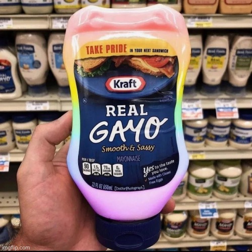 Lgbtq mayo | image tagged in real gayo mayo | made w/ Imgflip meme maker