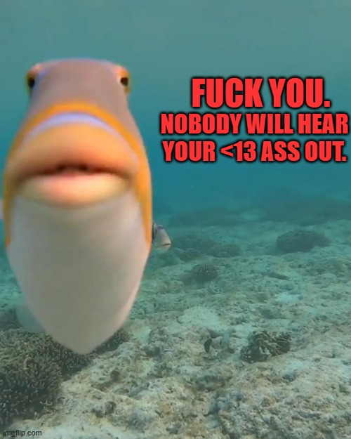 staring fish | FUCK YOU. NOBODY WILL HEAR YOUR <13 ASS OUT. | image tagged in staring fish | made w/ Imgflip meme maker