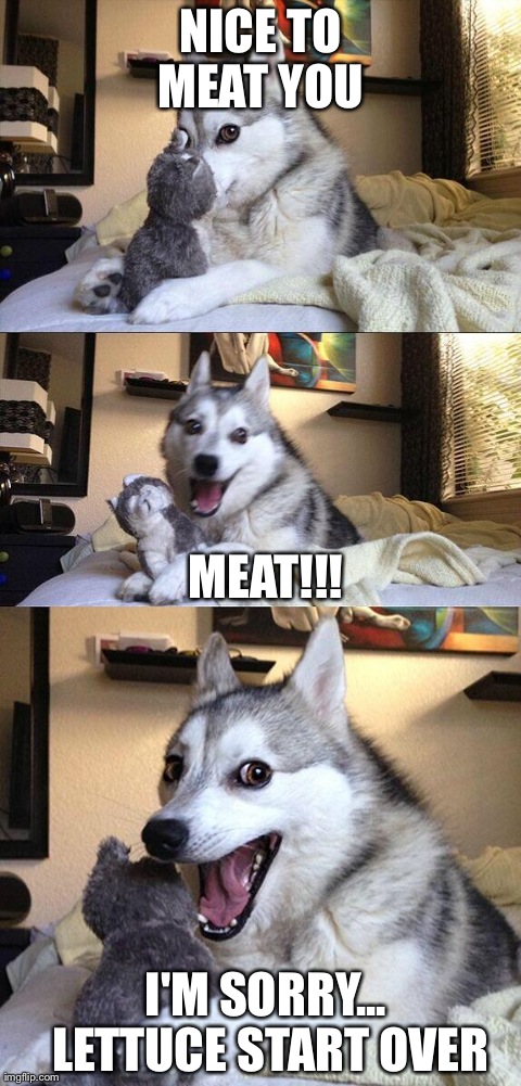 Bad Pun Dog | NICE TO MEAT YOU  I'M SORRY... LETTUCE START OVER MEAT!!! | image tagged in memes,bad pun dog | made w/ Imgflip meme maker