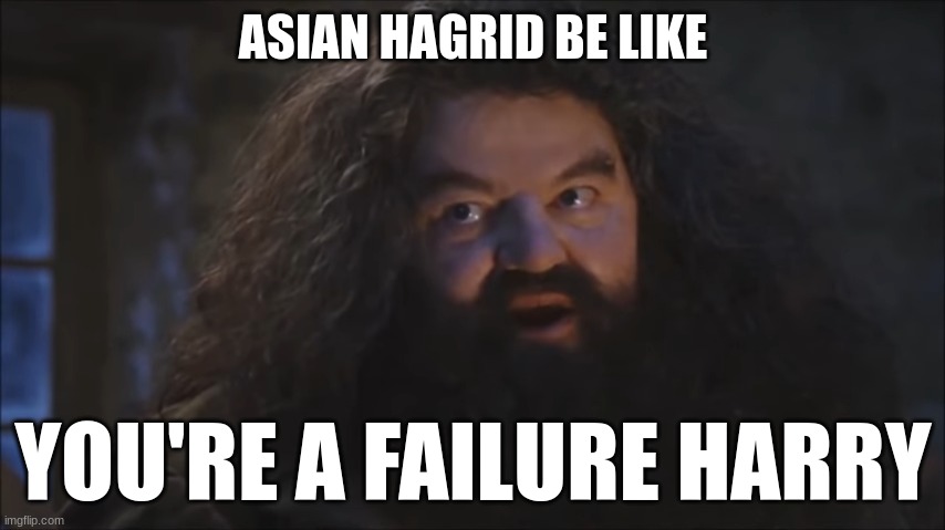 asian hagrid be like | ASIAN HAGRID BE LIKE; YOU'RE A FAILURE HARRY | image tagged in yer a wizard harry,asian dad,asian,harry potter,hagrid,memes | made w/ Imgflip meme maker