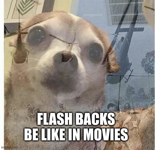 Flash backs in movies | FLASH BACKS BE LIKE IN MOVIES | image tagged in ptsd chihuahua | made w/ Imgflip meme maker