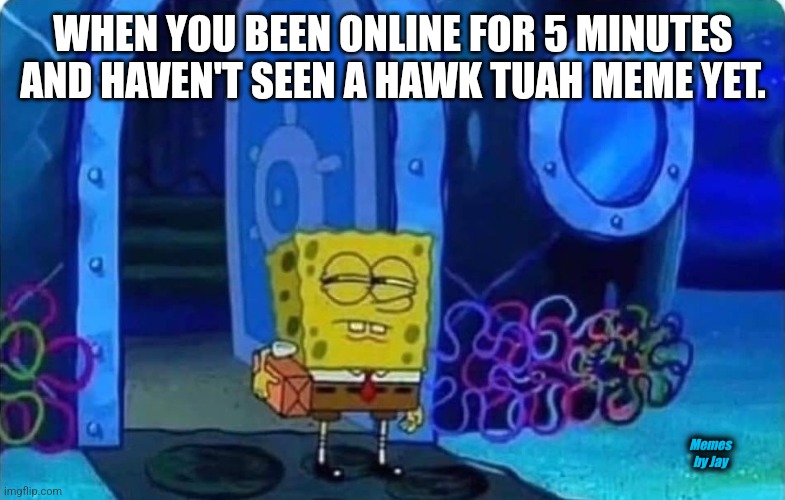 I Know Right | WHEN YOU BEEN ONLINE FOR 5 MINUTES AND HAVEN'T SEEN A HAWK TUAH MEME YET. Memes by Jay | image tagged in spongebob suspicious,hawk tuah,facebook | made w/ Imgflip meme maker