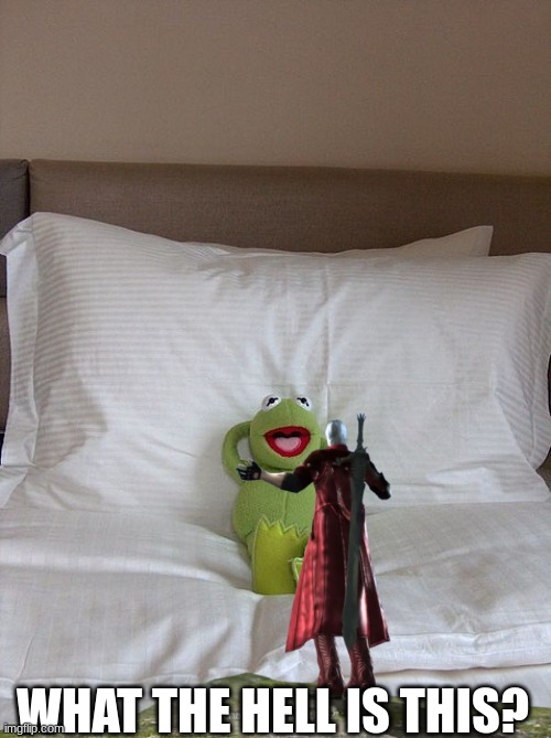 kermit bed | WHAT THE HELL IS THIS? | image tagged in kermit bed | made w/ Imgflip meme maker