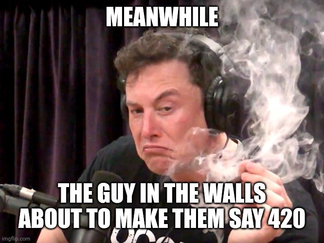 Elon Musk Weed | MEANWHILE THE GUY IN THE WALLS ABOUT TO MAKE THEM SAY 420 | image tagged in elon musk weed | made w/ Imgflip meme maker